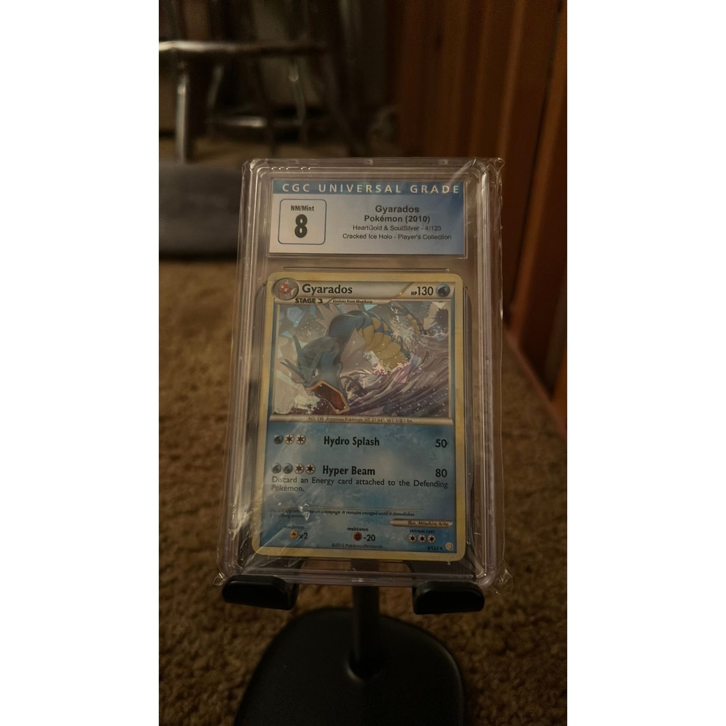 Slab - Pokémon: Gyarados