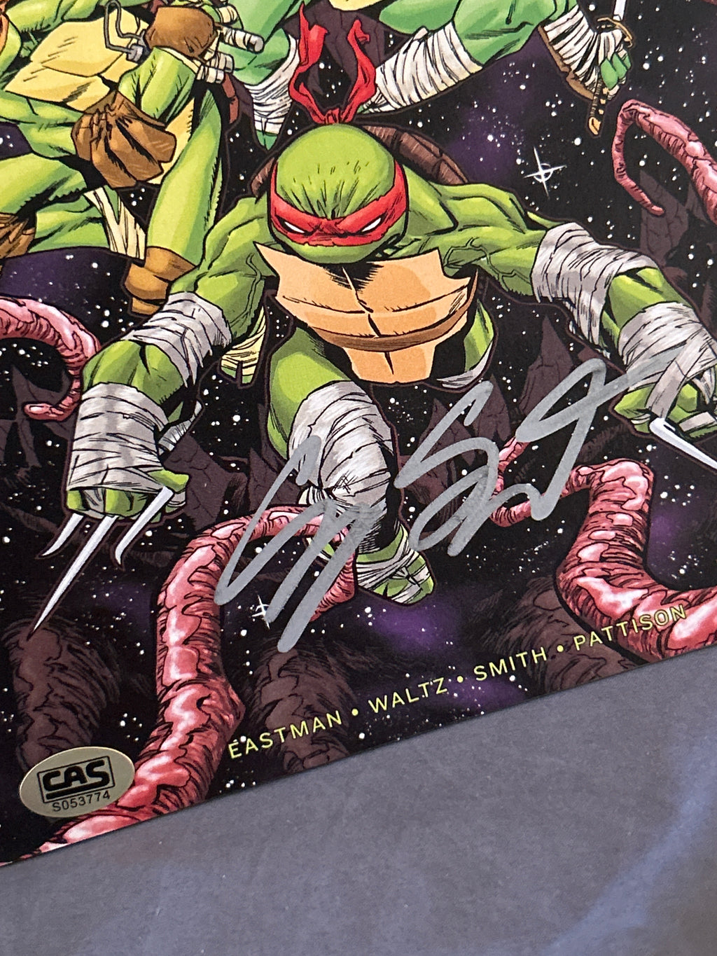 Autographed Comic Book: Teenage Mutant Ninja Turtles (FCBD 2017) | Signed by Cory Smith