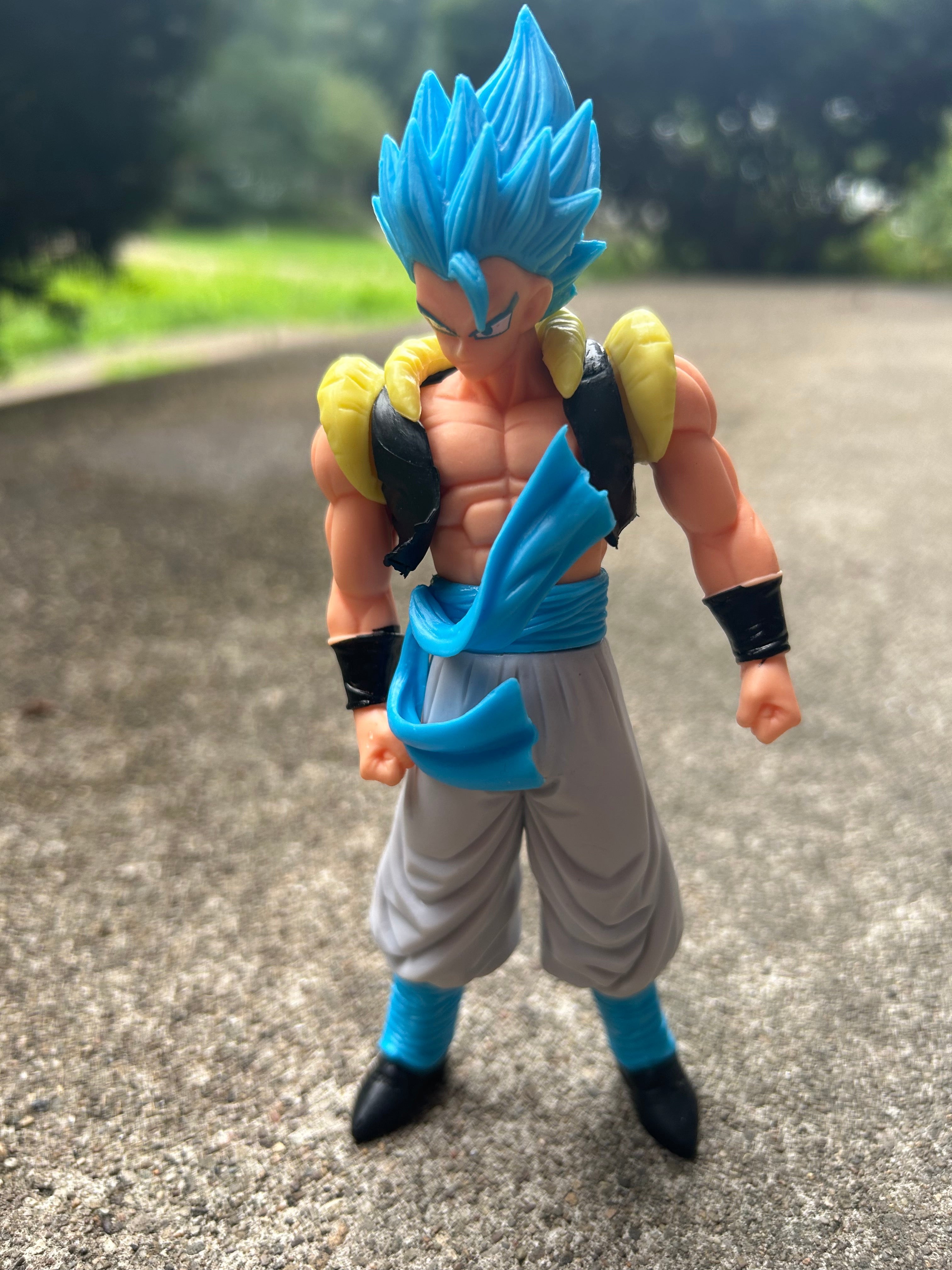 Figure: Dragon Ball | SSB Gogeta