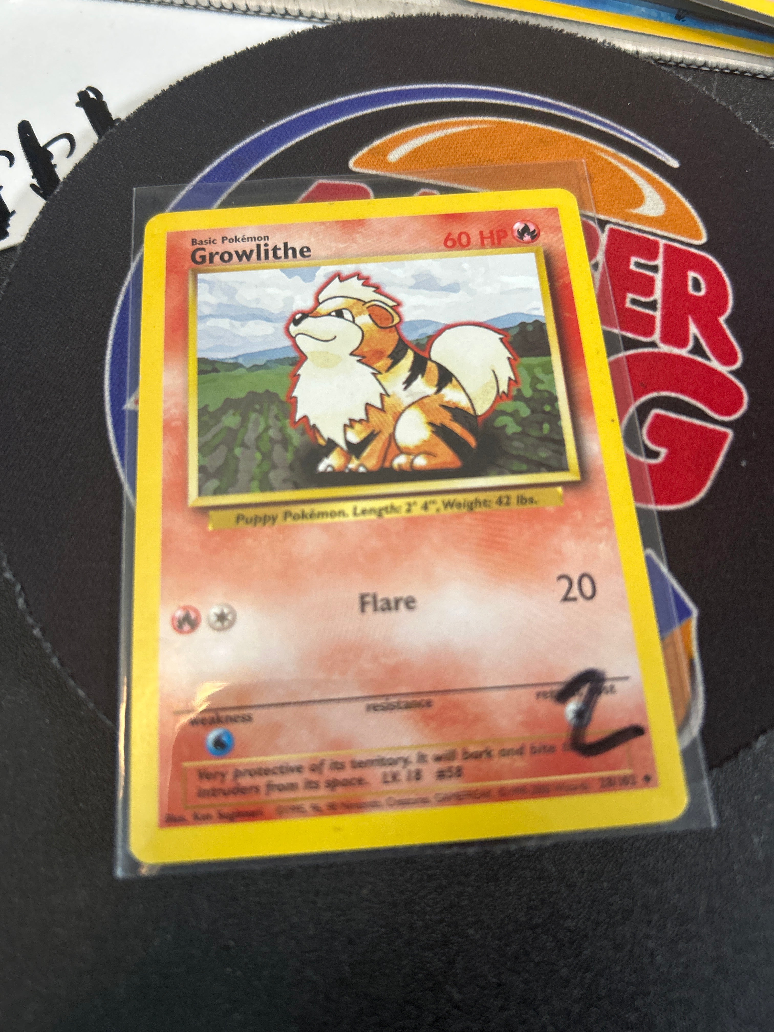 Growlithe