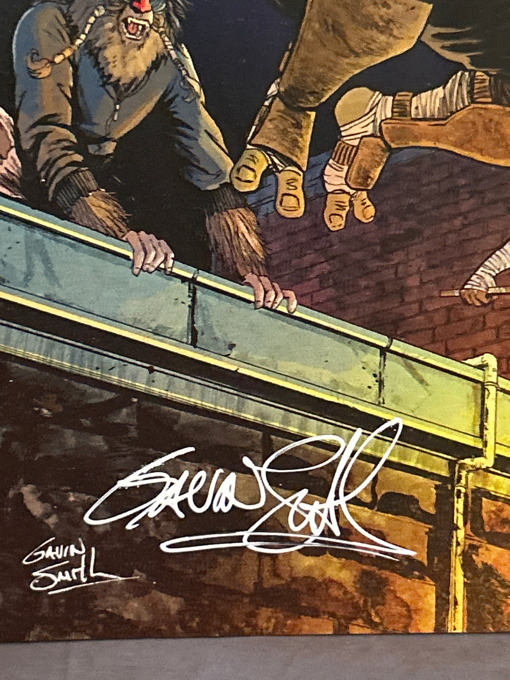 Autographed Comic Book: Teenage Mutant Ninja Turtles #144 | Signed by Gavin Smith