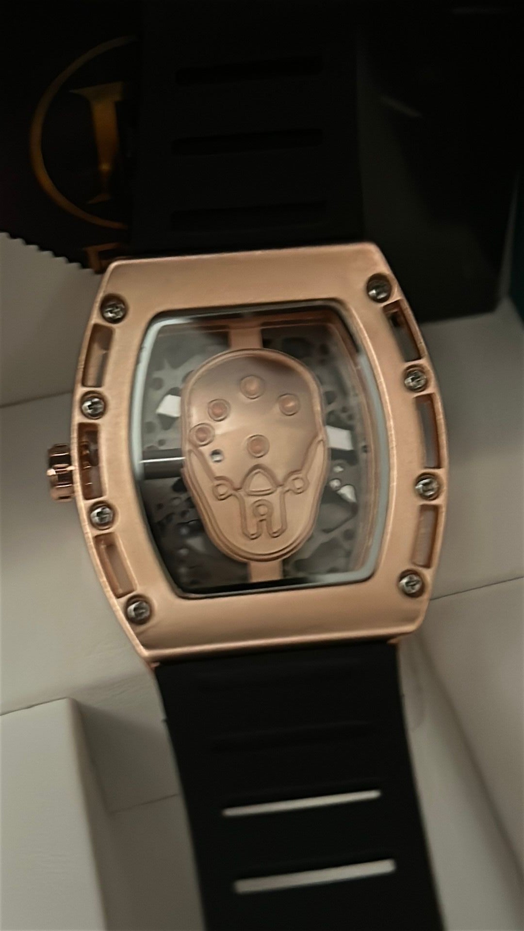 Watch: Bibi: Men’s - Skeleton RM Style Watch